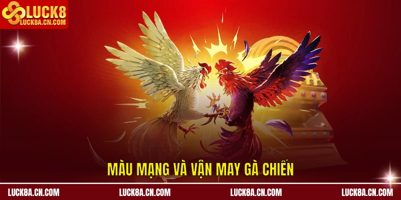 Cách Xem Màu Mạng Gà Đá Cựa Sắt – Kinh Nghiệm Từ LUCK8 3 Màu mạng và vận may gà chiến