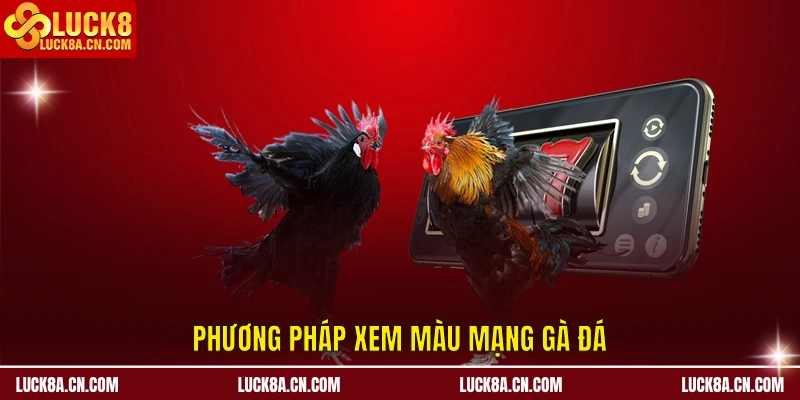 Cách Xem Màu Mạng Gà Đá Cựa Sắt – Kinh Nghiệm Từ LUCK8 2 Phương pháp xem màu mạng gà đá